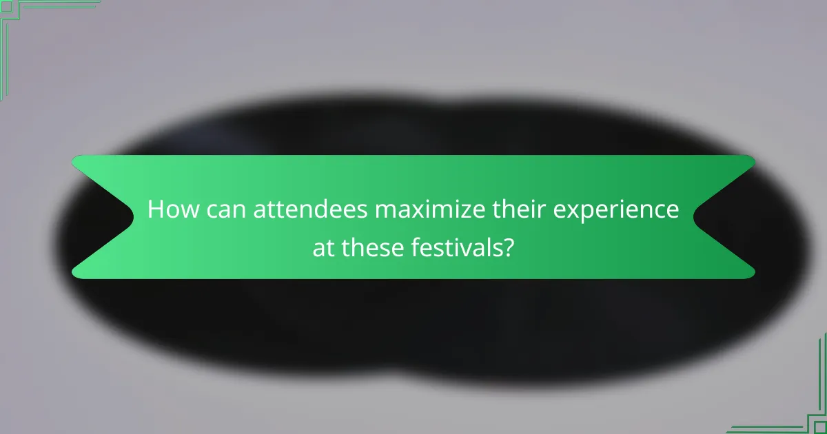 How can attendees maximize their experience at these festivals?
